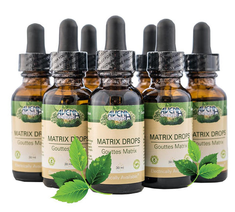 ERA Matrix Refills