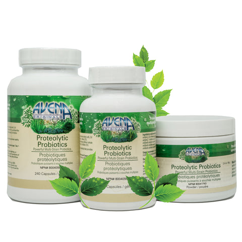 PROTEOLYTIC PROBIOTICS